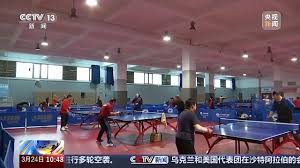 PA视讯集团 瞧瞧！儿童球木头滑梯成为新宠玩具！
